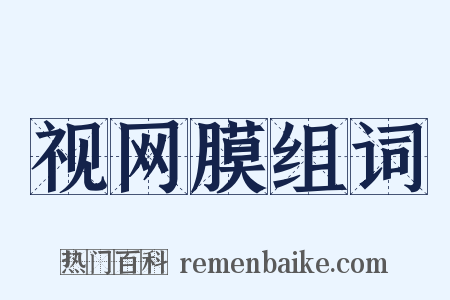 视网膜组词是什么意思的图片